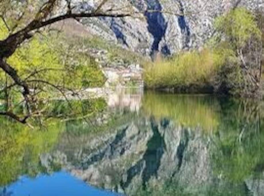Confortable Au Pied Du Vercors ポン・アン・ロワイヤン エクステリア 写真